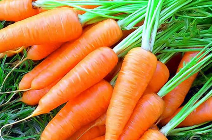 Картинки по запросу Գազար