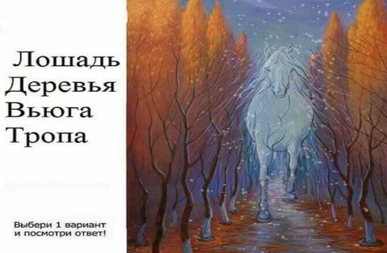 Варианты посмотри. Психологический тест лошадь. По картинке тест конь дерево. Вьюга и лошадь. Психологический тест по картинкам лошадей.