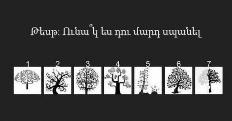 Выбирайте дерево и живите